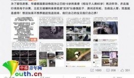 美香最新资讯爆料