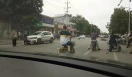 元氏爆料最新消息今天,今日热点事件深度解析