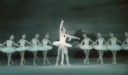 芭蕾舞蹈视频爆料,舞蹈视频爆料背后的精彩瞬间