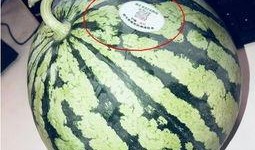 南通网红吃瓜,揭秘网络红人的幕后故事