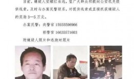 山西网络爆料新闻事件,揭开神秘事件背后的真相