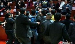 浙江球迷爆料事件视频,真相与争议交织的足球风云