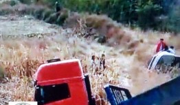 河北唐县爆料新闻,揭秘背后真相