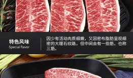 原切牛排爆料视频教程大全,揭秘视频教程大全