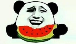 娱乐吃瓜必备图,吃瓜群众必备图鉴