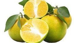 世界爆料大王小橙子视频,小橙子视频深度解析