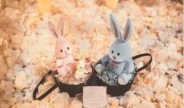 娱乐圈兔吃瓜,兔吃瓜事件揭秘