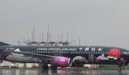 贵州飞机场爆料视频