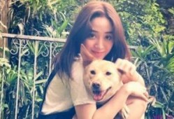 双视在线观看,全景视角，尽享视听盛宴