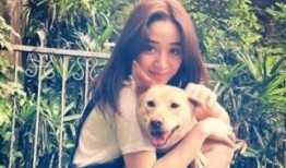 双视在线观看,全景视角，尽享视听盛宴