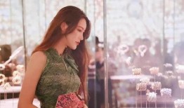 成都名媛爆料视频播放大全,一窥都市名媛生活众生相