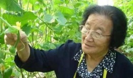 听心声吃瓜番茄免费小说,免费小说的奇幻之旅