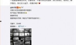 最新恋爱八卦爆料新闻,最新恋爱八卦揭秘！