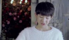 圈内大爆料王源,圈内大爆料背后的真实故事