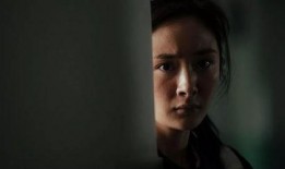 李九爆料渡劫了吗视频全集,渡劫真相，视频全集深度解析