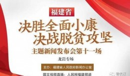龙岩最新爆料新闻视频,视频揭露惊人内幕，事件真相令人震惊！