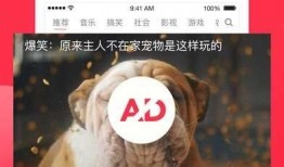 娱乐吃瓜酱蓝莓视频下载,娱乐吃瓜酱带你轻松获取热门娱乐内容