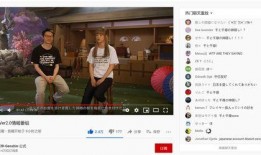 外网小舅子爆料原神视频,小舅子爆料背后的秘密与期待