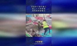 酱油龙头员工爆料视频,揭露行业黑幕与内幕操作