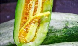 网红吃的瓜,娱乐圈幕后真相曝光