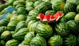 网红徒弟吃瓜图片,揭秘娱乐圈幕后真相