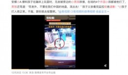 陈氏果业爆料事件视频,揭露行业黑幕背后的真相
