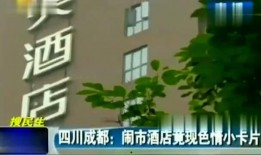 兰考大瓜爆料视频,一场引人入胜的爆料盛宴