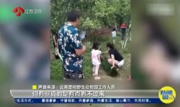 毛人龙被爆料视频大全集,揭秘事件背后真相