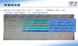 和平基因最新手册爆料,最新手册深度解析人类和谐共生的奥秘