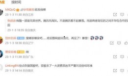 暴雪舅舅爆料了吗视频,揭秘游戏行业幕后真相