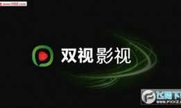 双视在线观看,全景视角，尽享视听盛宴