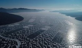 吉林岔路河最新爆料新闻,揭秘神秘事件背后的真相