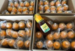 关于爆料假蜂蜜新闻,行业乱象引发消费者担忧