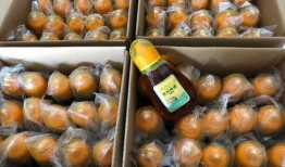 关于爆料假蜂蜜新闻,行业乱象引发消费者担忧