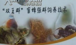 养蜂技术爆料视频大全集,视频大全集精华汇总