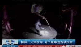 柳林爆料了什么事件视频,揭开惊人事件真相视频曝光
