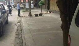 东湖爆料情感纠纷视频,情感纠纷视频引发网友热议，真相究竟如何？