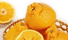 世界爆料大王小橙子视频,小橙子视频深度解析