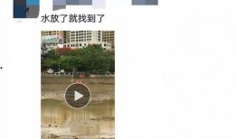 爆料死亡新闻视频下载软件,一键获取惊悚瞬间