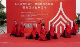 长江日报社爆料新闻视频,揭秘新闻视频背后的真相