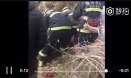 花果园爆料女子下跪视频,真相与争议