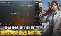 爆料绝地求生视频大全,揭秘热门游戏瞬间