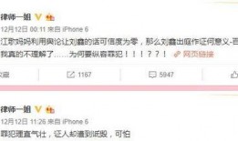 刘鑫最近爆料视频播放大全,揭秘事件背后真相