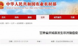 甘肃大掌柜爆料案件最新消息