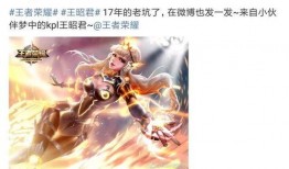 王者皮肤武则天爆料视频