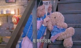 小熊爆料真实拍视频,真实拍视频背后的故事揭秘