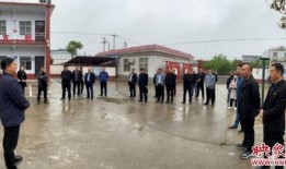 荥阳王村镇爆料新闻最新,揭秘真相，关注民生