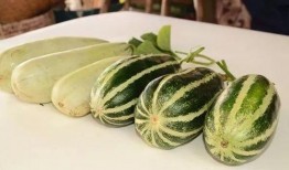 湘潭网红最新吃瓜,揭秘幕后故事与热门话题