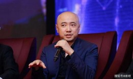 徐峥泳池爆料视频大全集,揭秘娱乐圈幕后故事