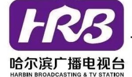 辽宁卫视媒体爆料视频,揭秘神秘事件背后真相